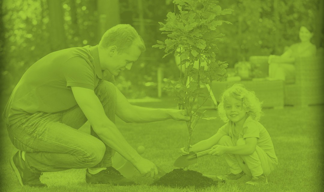 MEMBER HUB Resource Pdfs Farmers Electric Cooperative